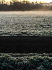 The Rebirth of a Phy