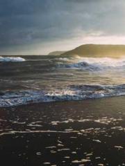 One Night of Indulge