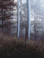 lt;The Dragon Discar