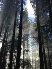 Chen Pingapos;an and