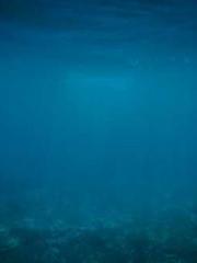 The Stand-in Wife Wa