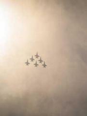 The Apothecaryapos;s