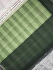 Mr. Shen, overdue an